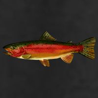 Wildlife - Rainbow Trout Side Cool Comfort Performance Bucket Hat