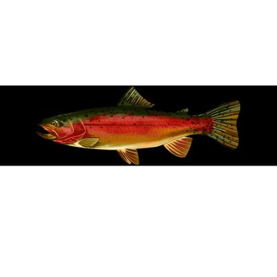 Wildlife - Rainbow Trout Side Bumper Sticker