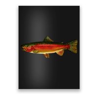Wildlife - Rainbow Trout Side Poster
