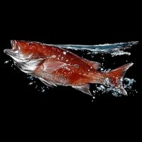 Wildlife - Red Snapper Surfacing Performance Shirt
