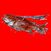 Wildlife - Red Snapper Surfacing Button