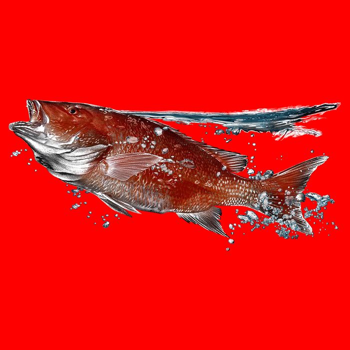Wildlife - Red Snapper Surfacing Button