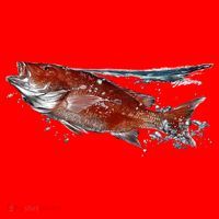 Wildlife - Red Snapper Surfacing Zip Tote Bag