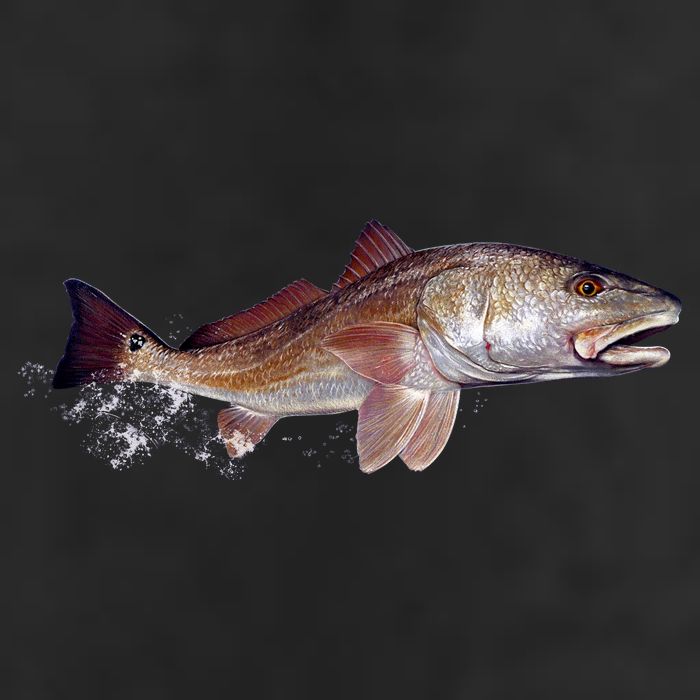 Wildlife - Redfish Adult Drive Performance Visor