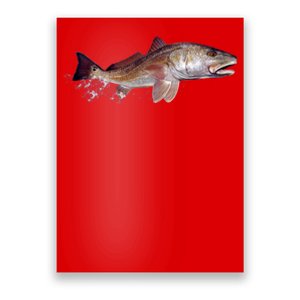 Wildlife - Redfish Poster