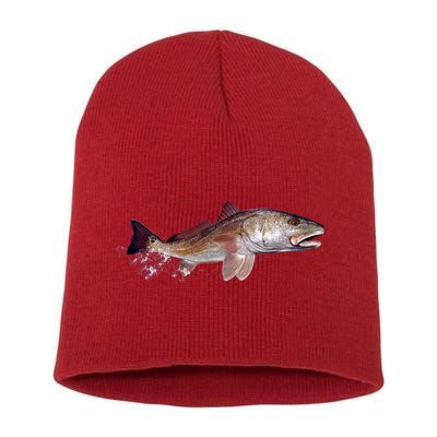 Wildlife - Redfish Short Acrylic Beanie
