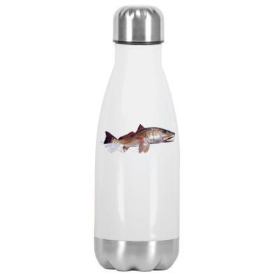 Wildlife - Redfish Stainless Steel Insulated Water Bottle