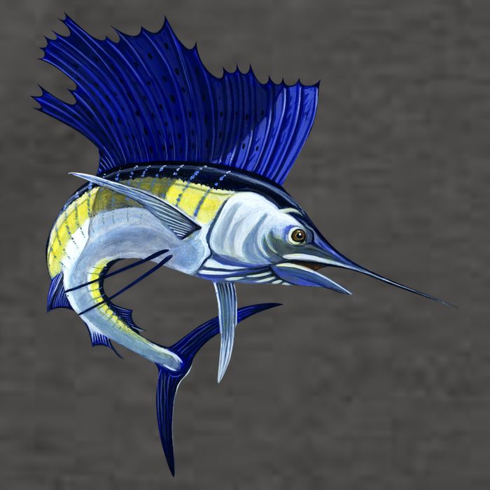 Wildlife Sailfish Vector Backpack