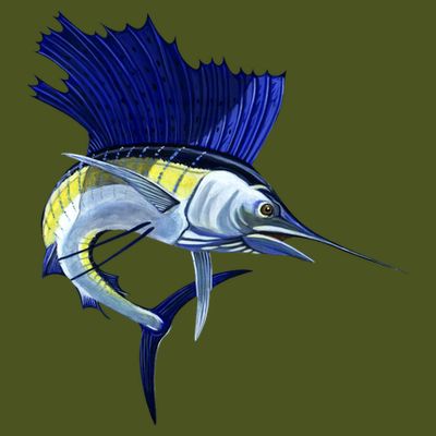 Wildlife Sailfish T-Shirt