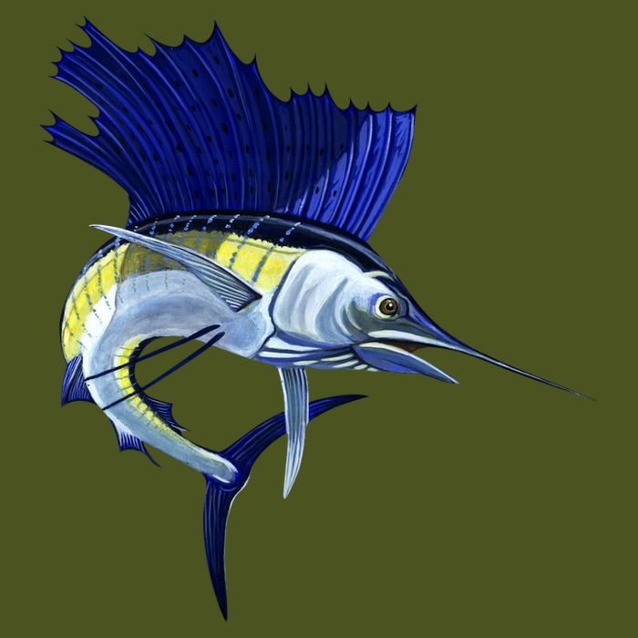 Wildlife Sailfish T-Shirt