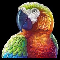 Wildlife - Scarlet Macaw Ara Parrot Hoodie