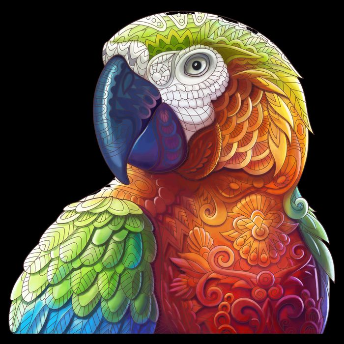 Wildlife - Scarlet Macaw Ara Parrot Hoodie