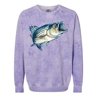 Wildlife - Striped Bass Colorblast Crewneck Sweatshirt