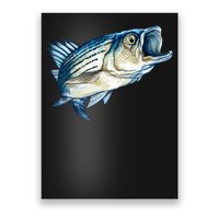 Wildlife - Striped Bass Poster