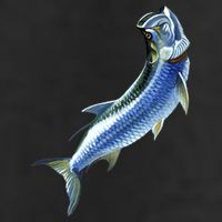 Wildlife - Tarpon 11oz C Handle Ceramic Mug