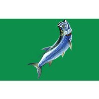 Wildlife - Tarpon Bumper Sticker