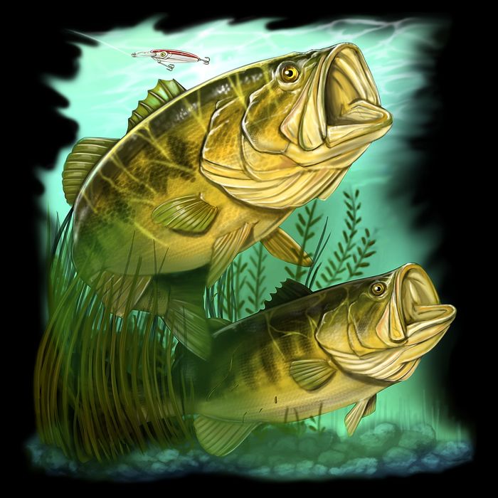 Wildlife - Two Jumping Bass T-Shirt