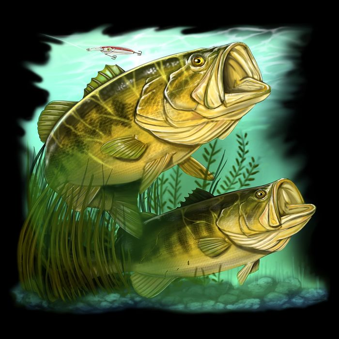 Wildlife - Two Jumping Bass Mug