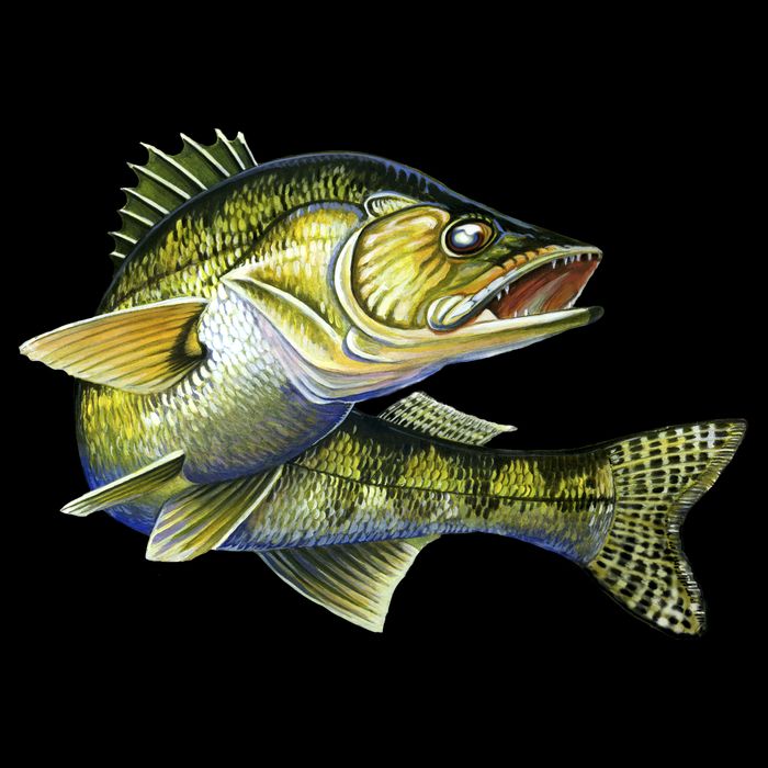 Wildlife - Walleye Cooling Performance Crew T-Shirt