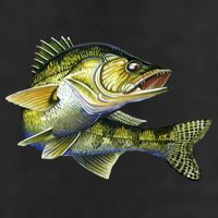 Wildlife - Walleye Adult Drive Performance Visor