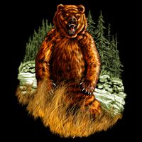 Wildlife - Wild Bear Portrait Doggie Tank