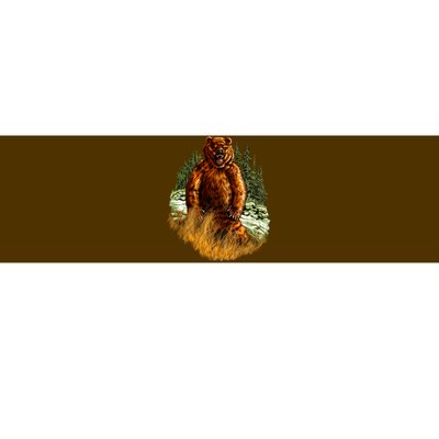 Wildlife - Wild Bear Portrait Bumper Sticker