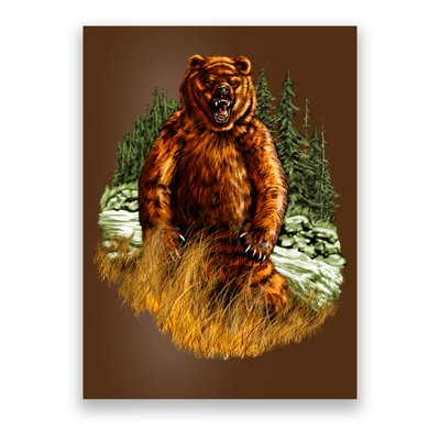 Wildlife - Wild Bear Portrait Poster