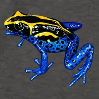 Wildlife - Yellow And Blue Frog Vector Backpack