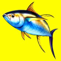 Wildlife - Yellowfin 11oz C Handle Ceramic Mug