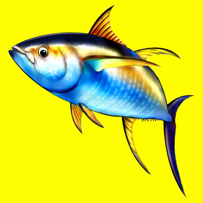 Wildlife - Yellowfin 11oz C Handle Ceramic Mug