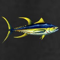Wildlife - Yellowfin Tuna 7 Panel Mesh Trucker Snapback Hat