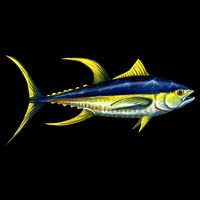 Wildlife - Yellowfin Tuna Flatbill Hat