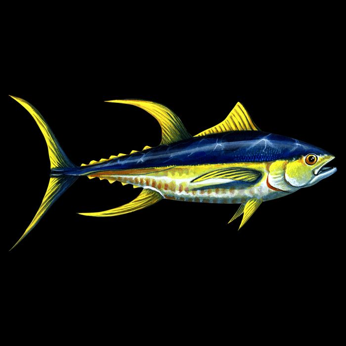 Wildlife - Yellowfin Tuna Flatbill Hat