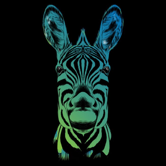 Wildlife - Zebra Head Abstract Poster