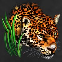 Wildlife Big Face Jaguar In Grass Portrait Cool Comfort Performance Bucket Hat