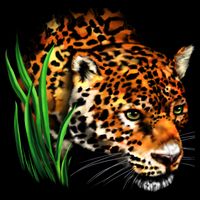Wildlife Big Face Jaguar In Grass Portrait Backpack