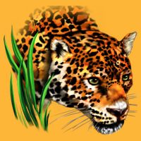 Wildlife Big Face Jaguar In Grass Portrait Cooling Performance Crew T-Shirt