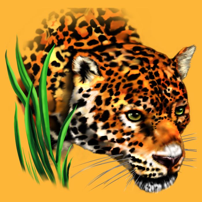 Wildlife Big Face Jaguar In Grass Portrait Cooling Performance Crew T-Shirt