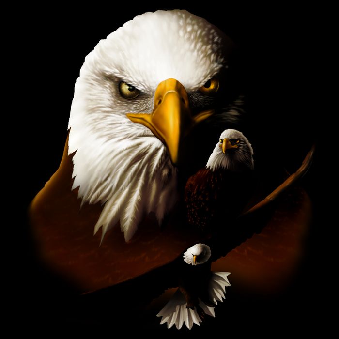 Wildlife Chopper Eagle Cooling Performance Crew T-Shirt