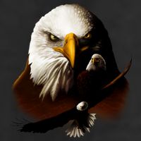 Wildlife Chopper Eagle Adult Drive Performance Visor