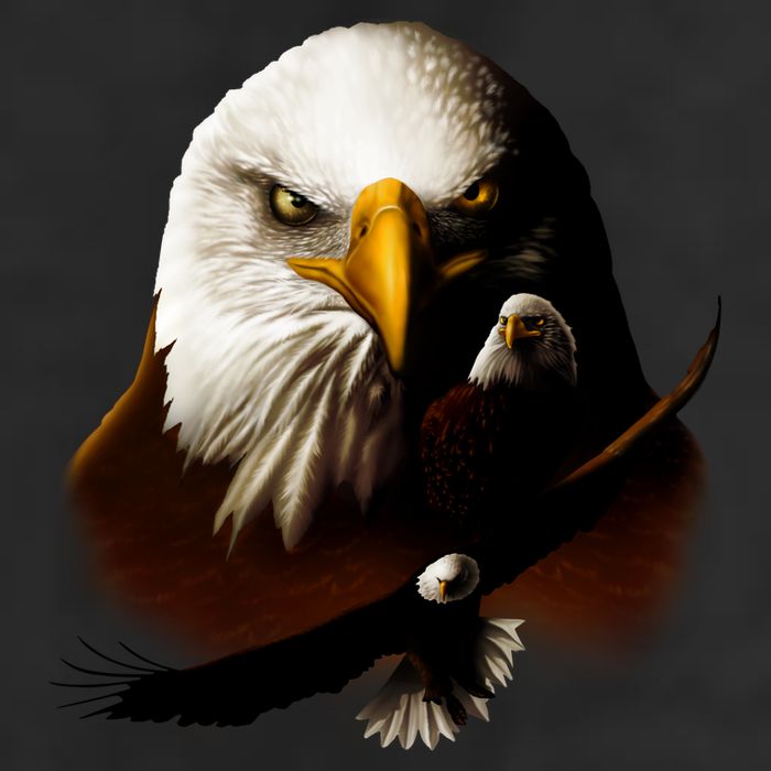 Wildlife Chopper Eagle Adult Drive Performance Visor