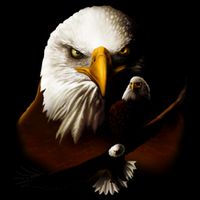 Wildlife Chopper Eagle Polo