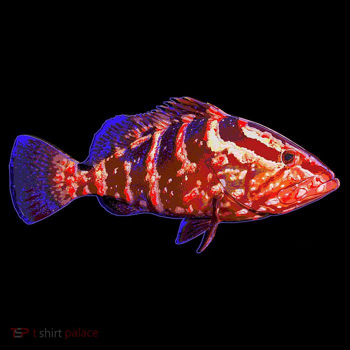 Wildlife Funky Grouper 16 in Basic Backpack