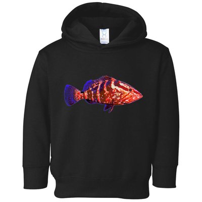 Wildlife Funky Grouper Toddler Hoodie