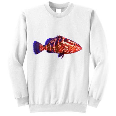 Wildlife Funky Grouper Sweatshirt