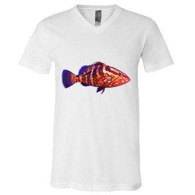 Wildlife Funky Grouper V-Neck T-Shirt