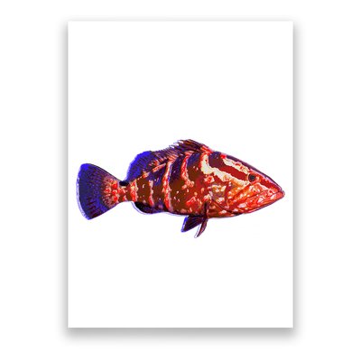 Wildlife Funky Grouper Poster