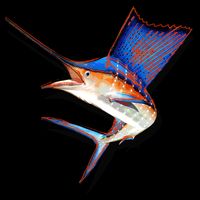 Wildlife Funky Sailfish Cooling Performance Crew T-Shirt