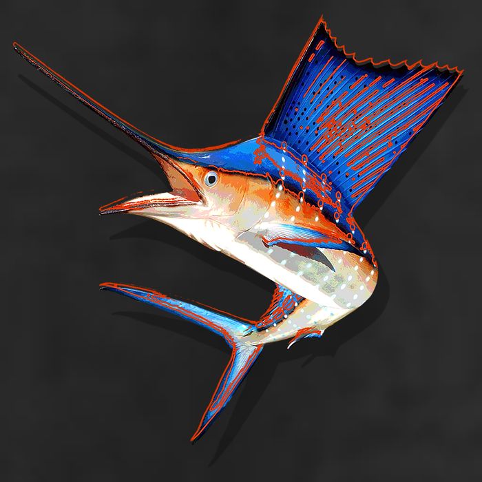 Wildlife Funky Sailfish 11oz C Handle Ceramic Mug