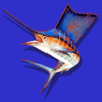 Wildlife Funky Sailfish T-Shirt